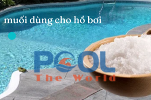 Muối Hồ Bơi Điện Phân: Tiêu Chuẩn, Cách Tính Và Dấu Hiệu Thiếu Muối