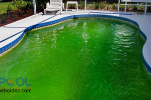 Phương pháp tự xử lý cặn bẩn trong bể bơi dễ dàng với nhôm sulfat keo tụ