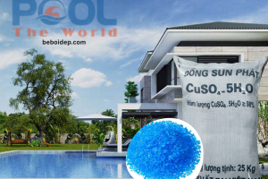 Phương pháp ức chế tế bào tảo lam bám vách bằng hóa chất Đồng Sulfat