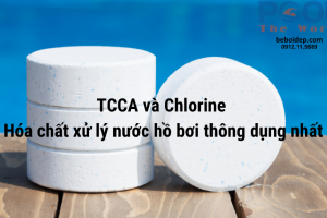 TCCA và Chlorine – So sánh 2 loại hóa chất xử lý nước hồ bơi thông dụng nhất