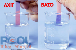 Test pH Quỳ 50 Que Có Chính Xác Không Và Cách Kiểm Tra Nước Hồ Bơi Hiệu Quả