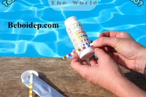 Test PH Quỳ 50 Que Hay Bộ Test PH CLO? Loại Nào Phù Hợp Với Hồ Bơi Gia Đình?