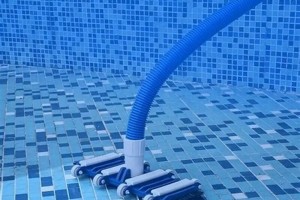 Thức Tỉnh Đáy Hồ – Cách Bàn Hút Biến Một Bể Nước Thành Ốc Đảo Xanh Ngọc