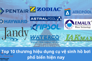 Top 10 thương hiệu dụng cụ vệ sinh hồ bơi phổ biến nhất hiện nay