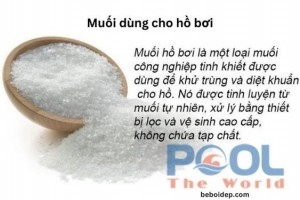 Ứng Dụng Của Muối Dùng Cho Hồ Bơi Trong Bể Bơi