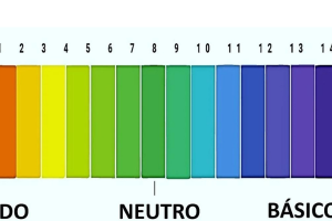 Vì sao test pH đúng giúp tiết kiệm hóa chất hồ bơi?