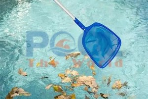 Vợt lá cây nông lòng – Công cụ tối ưu cho việc vệ sinh mặt hồ bơi