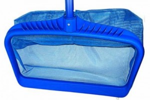 Vợt lưới mịn và lưới thưa: Nên chọn loại nào cho từng tình trạng hồ?